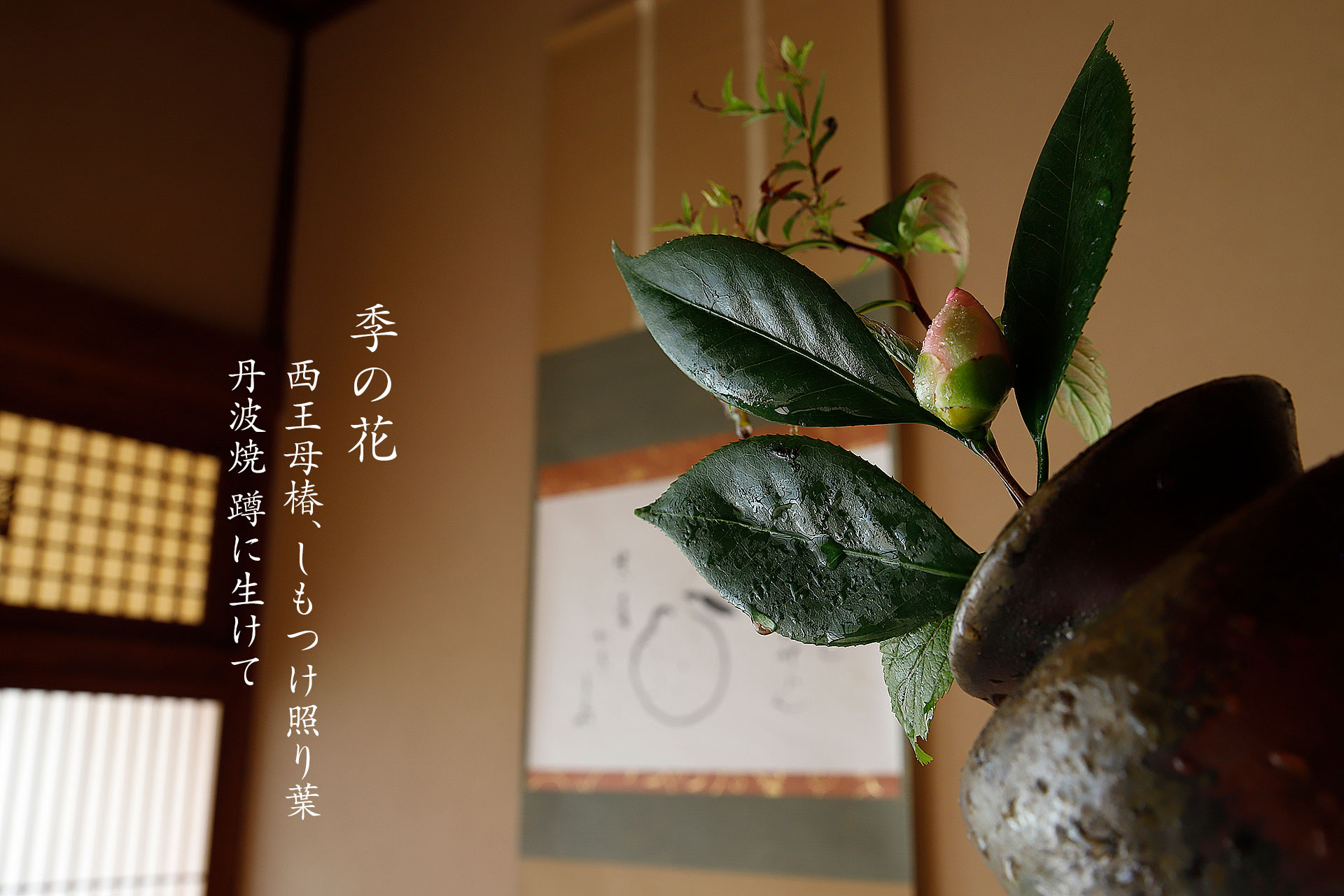 茶道 花 教室 表千家 堂後茶道教室 茶花 茶事 茶会 11月 設え 霜月 手桶 井伊宗観 鬼萩 万代屋釜