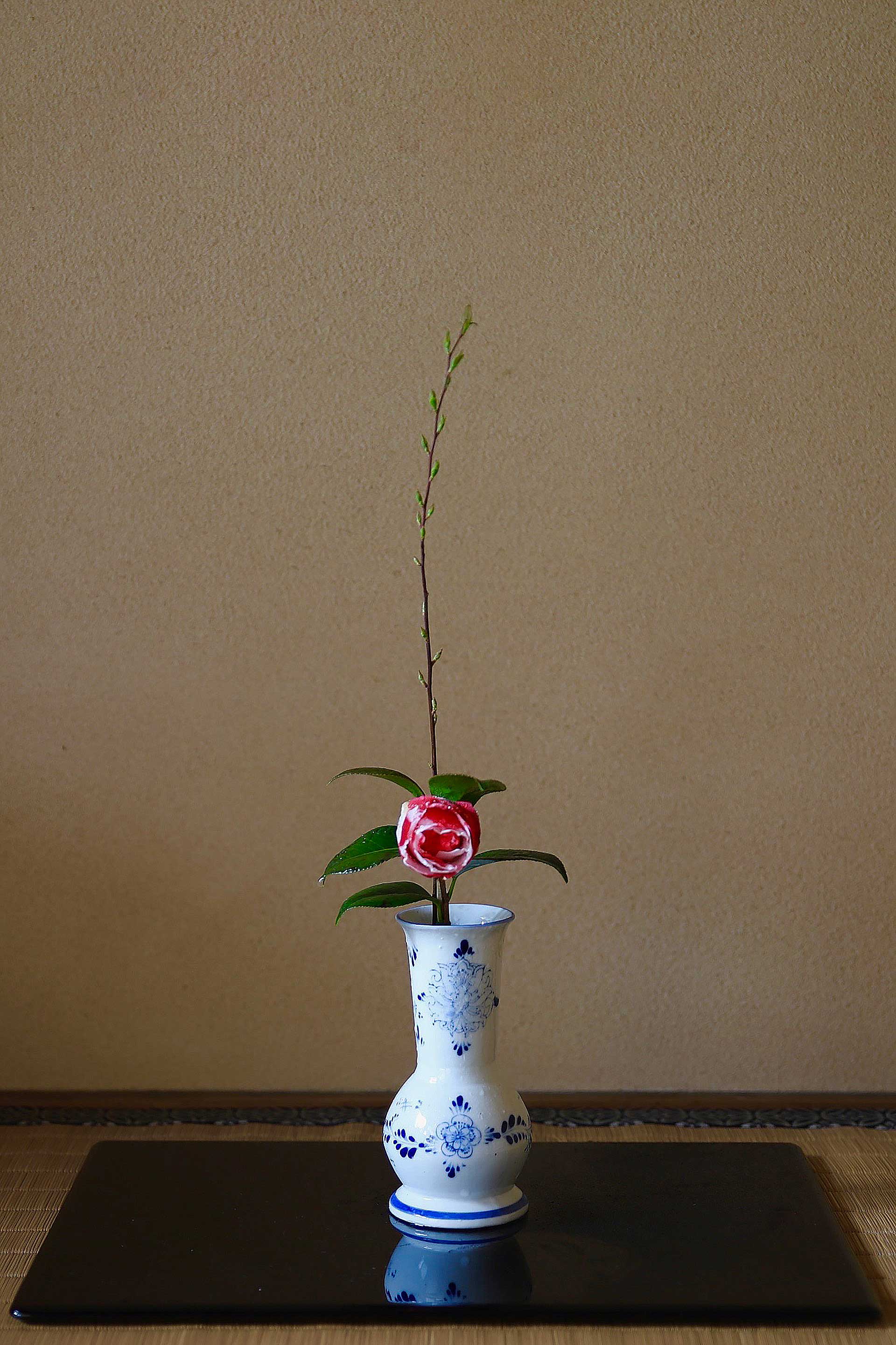 茶道 花 教室 表千家 堂後茶道教室 茶花 茶事 茶会 東大寺 絞り椿 エクストラバガンザ カメリア スズカゲ デルフト